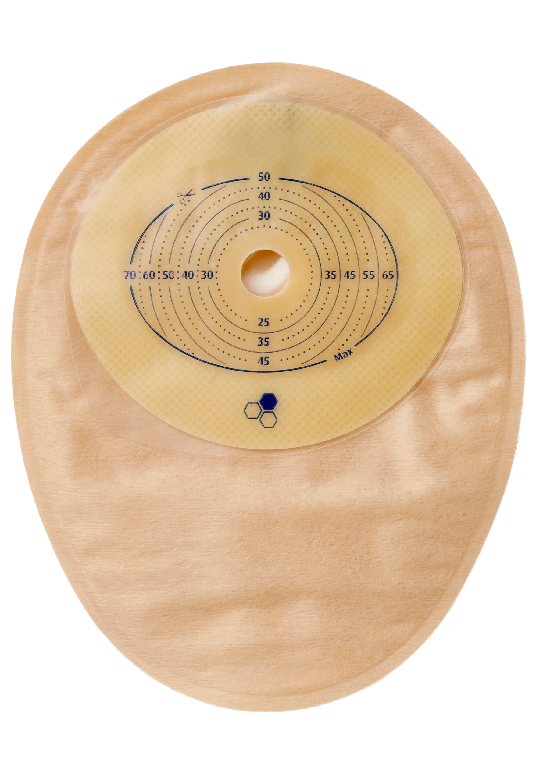 MHCS513_1