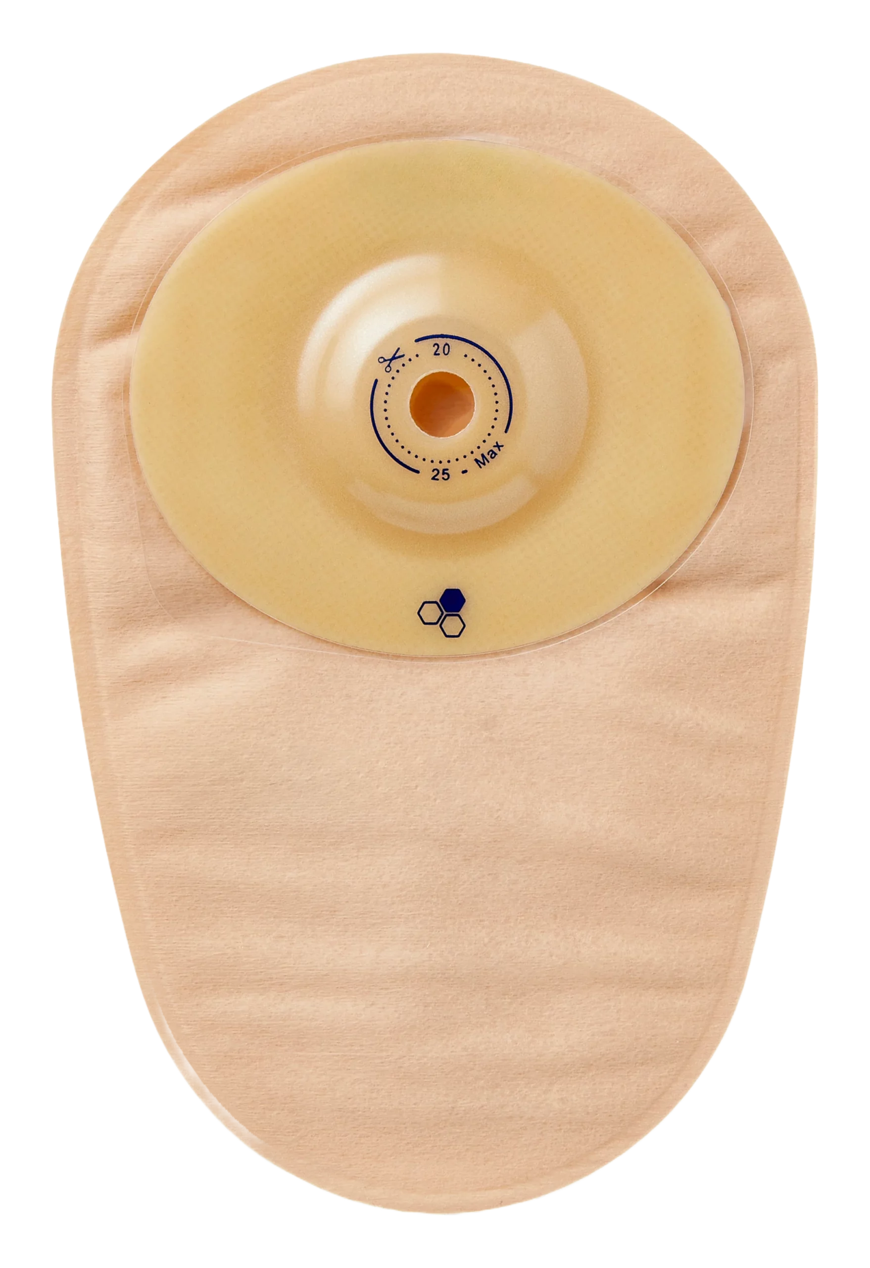 MHNCS913_1