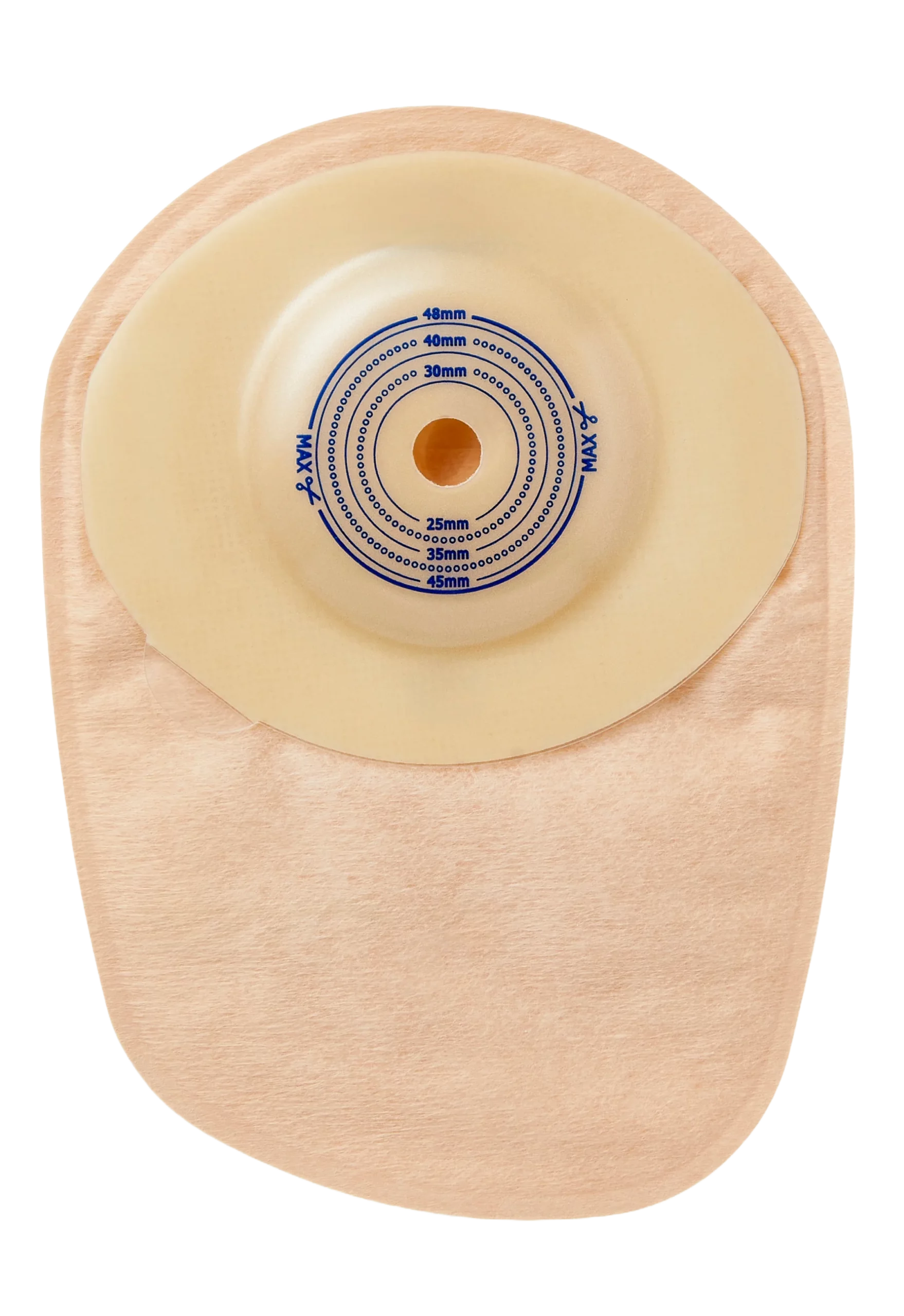 PNCL513_1