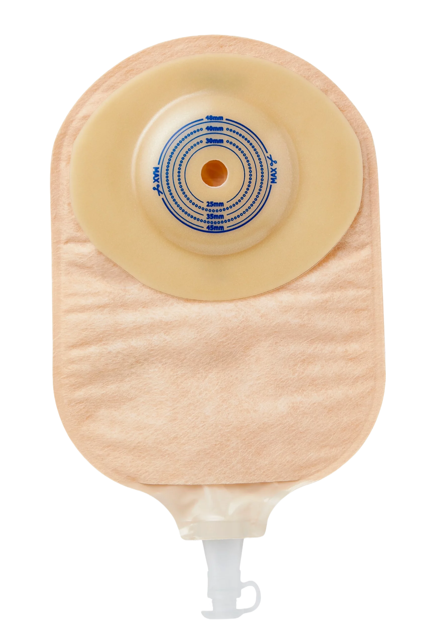 PNUL513_1